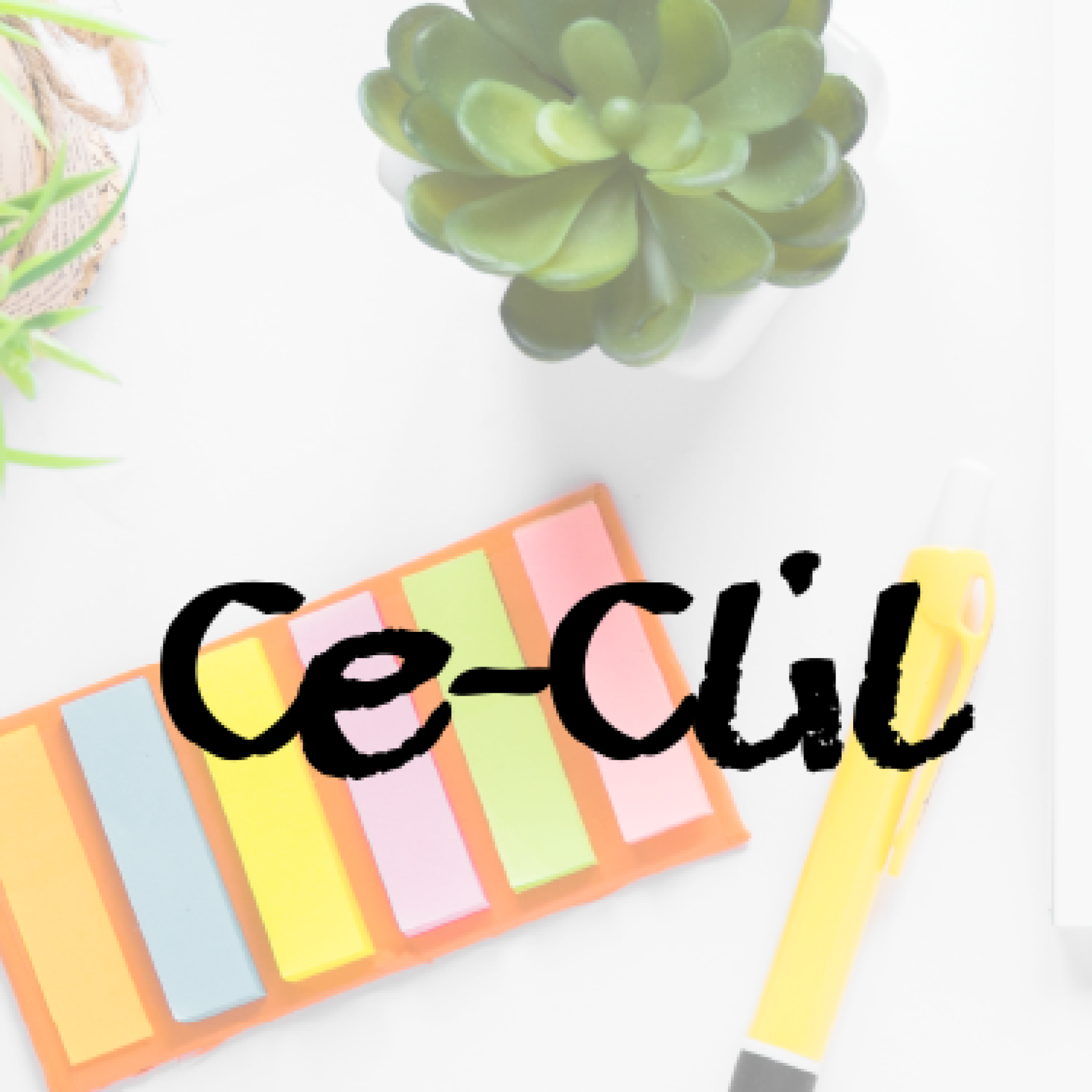 COPERTINA MOBILE_PAGINA M